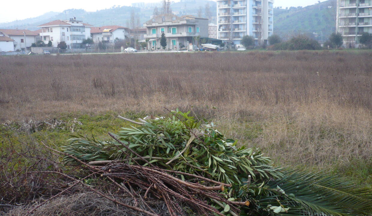 P1000928