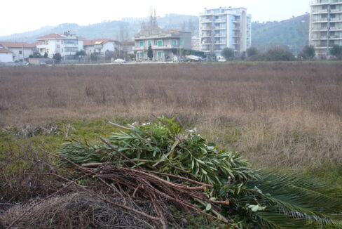 P1000928