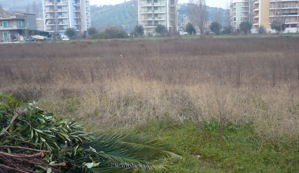 P1000929